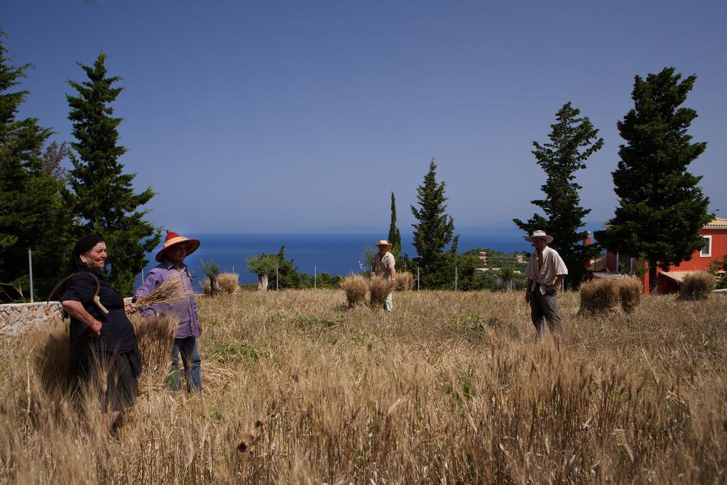 Acquaterra Villas Tsoukaladhes Bagian luar foto